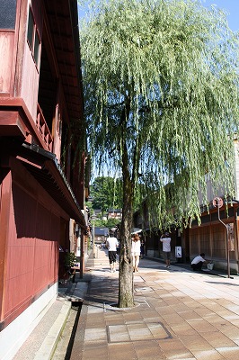 e0184251_8573839.jpg