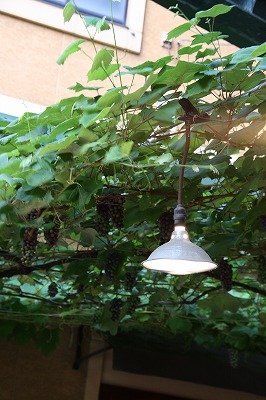 e0184251_95241.jpg