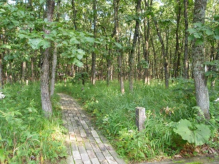 e0004756_1122439.jpg