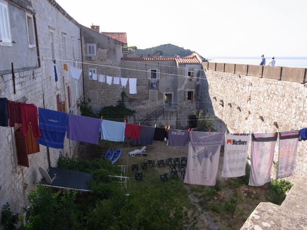 d0005157_0843.jpg