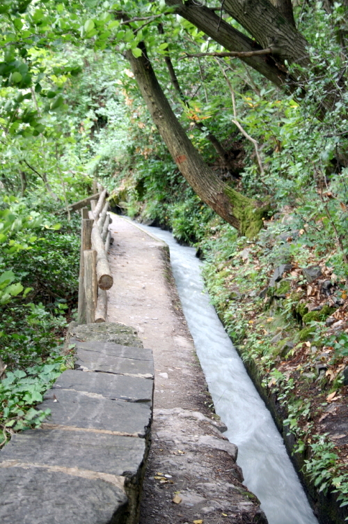 f0077159_213683.jpg