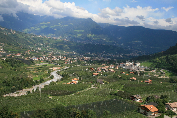 f0077159_214895.jpg