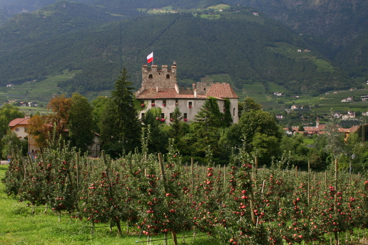 f0077159_224049.jpg