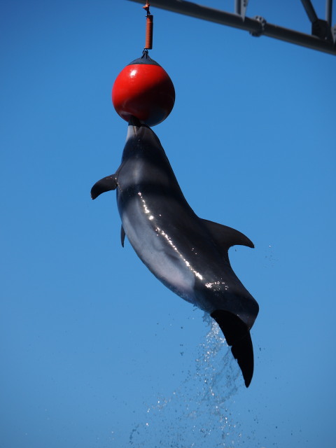 c0186760_165577.jpg