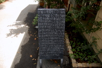 d0087761_163144.jpg