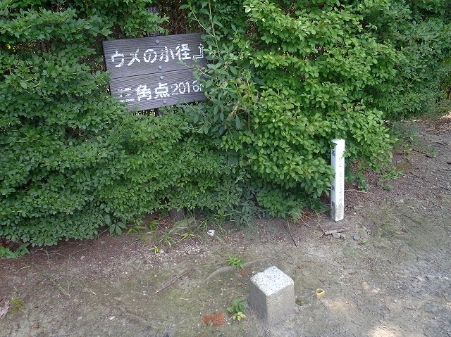 b0044663_2152378.jpg