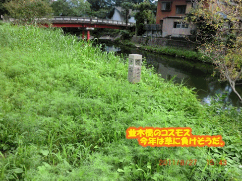 d0007071_7272286.gif