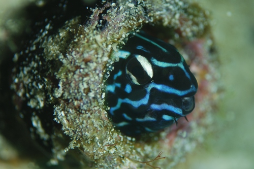c0181073_22123599.jpg