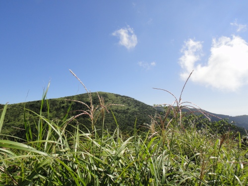 d0182075_17524930.jpg