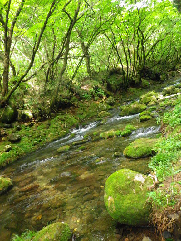b0053478_1653717.jpg