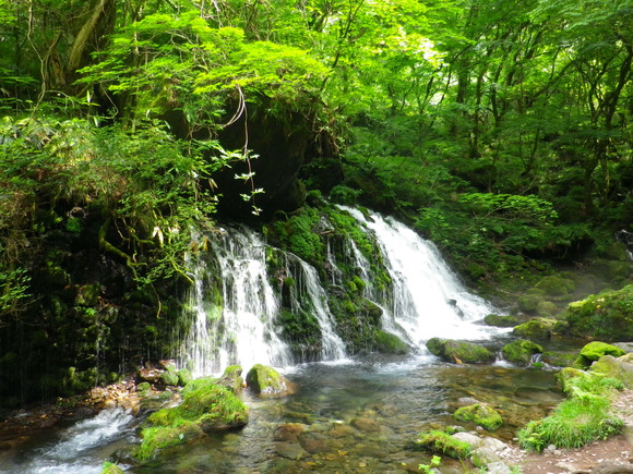 b0053478_16563394.jpg