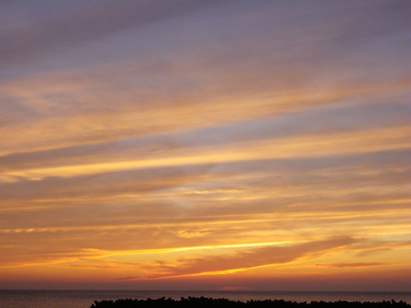 b0053478_17191447.jpg