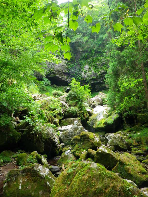 b0053478_1725275.jpg