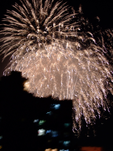 a0105480_1317980.jpg