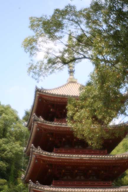 明王院五重塔