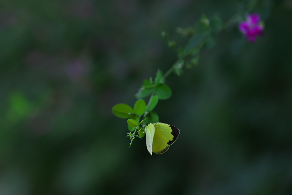 a0083081_17193164.jpg