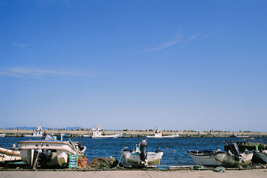 e0051186_1730077.jpg