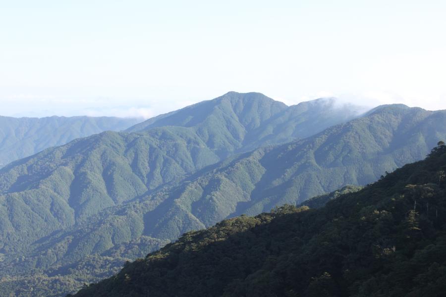 f0138588_19171164.jpg