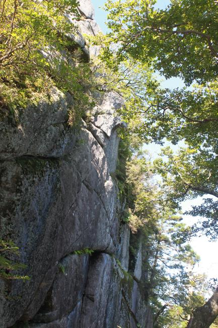 f0138588_19175148.jpg