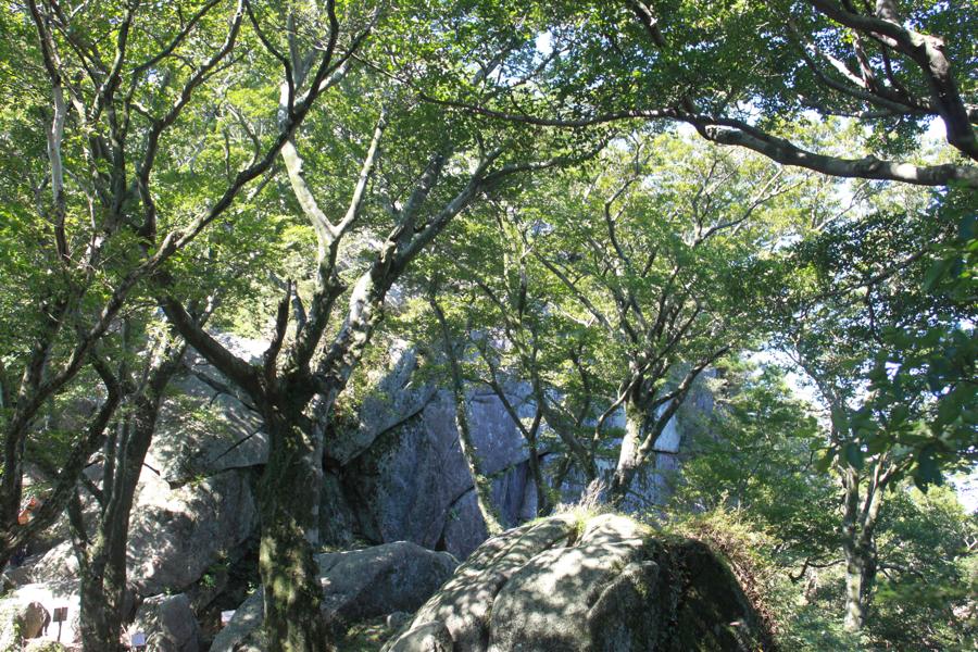 f0138588_1918671.jpg