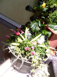 a0026089_1321537.jpg