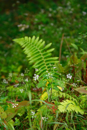 d0133693_9272527.jpg
