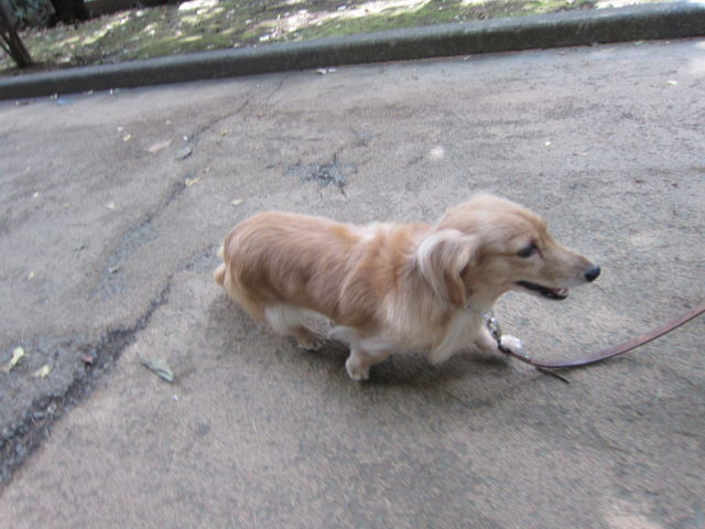 d0098295_23143390.jpg