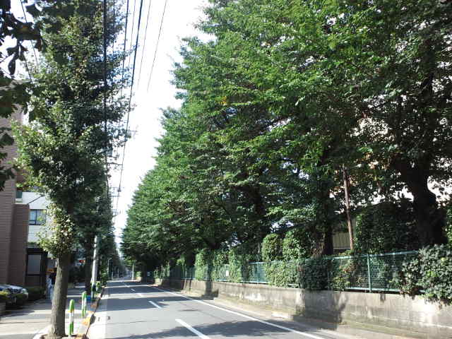 f0077595_16244910.jpg