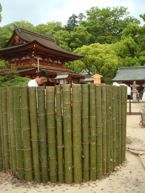 f0048597_23553025.jpg