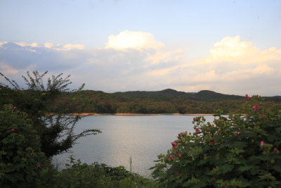 f0103797_1753045.jpg