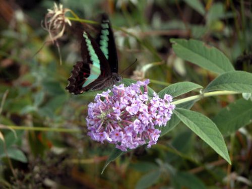 f0201297_23493412.jpg