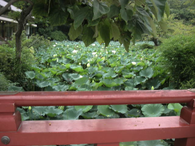 c0177198_11123318.jpg