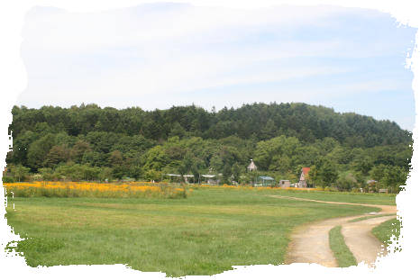 f0042599_16321812.jpg