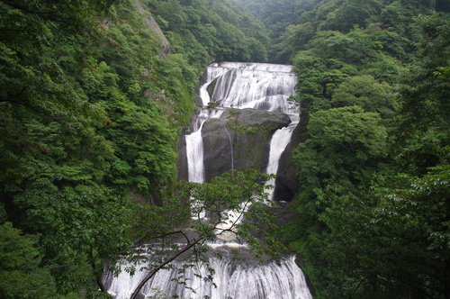 e0153000_21261841.jpg