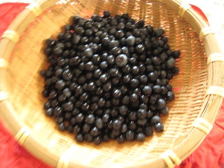 a0101802_21502731.jpg