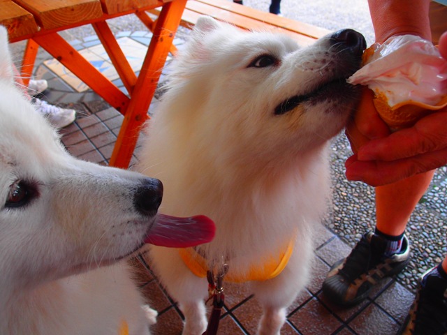 e0018604_12183599.jpg