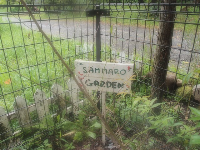 e0018604_1322113.jpg