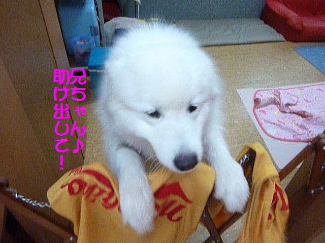 e0018604_16493763.jpg