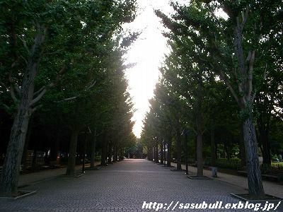 e0145805_0543427.jpg