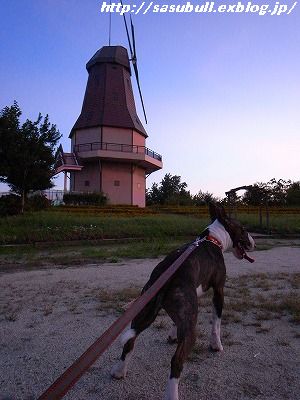 e0145805_0574288.jpg