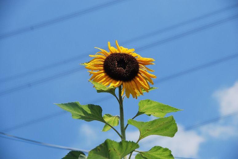 c0149408_9241453.jpg