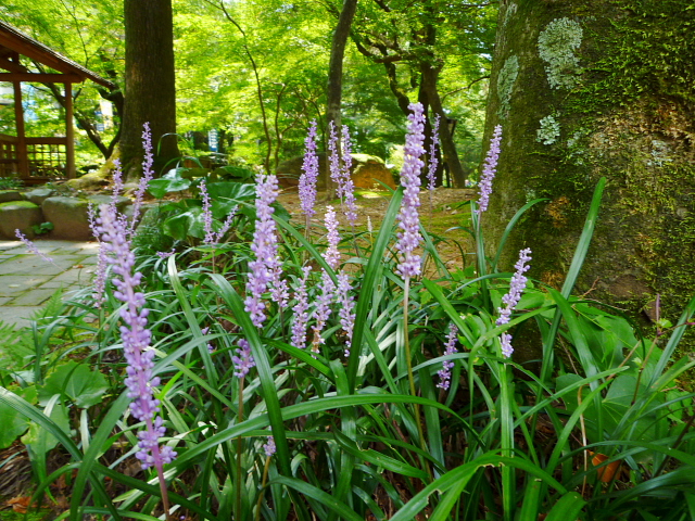 d0170615_16232135.jpg