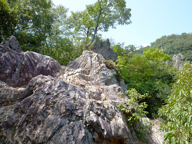 d0170615_1626287.jpg