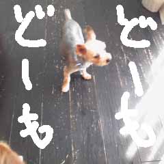 c0036617_719419.jpg