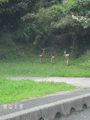 c0162823_1301345.jpg