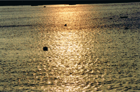 a0131025_17472426.jpg