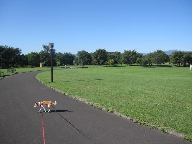 e0191826_23195956.jpg