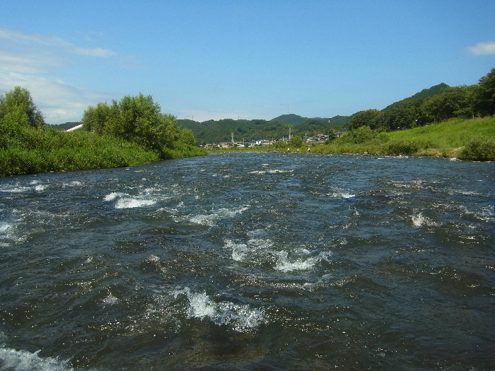 f0103126_22224213.jpg
