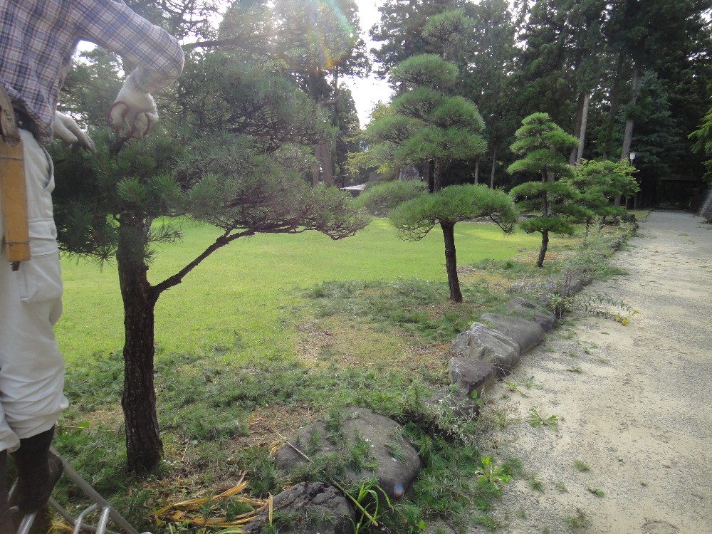 c0111229_21174324.jpg
