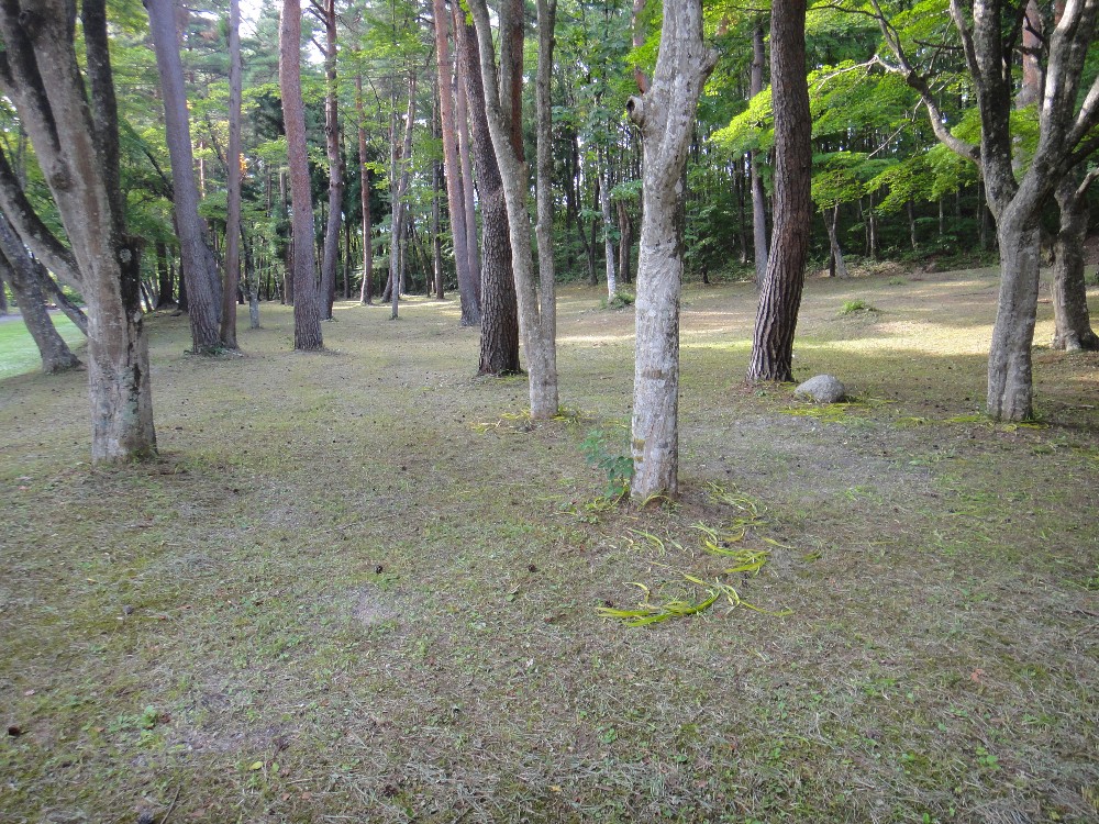 c0111229_2118266.jpg
